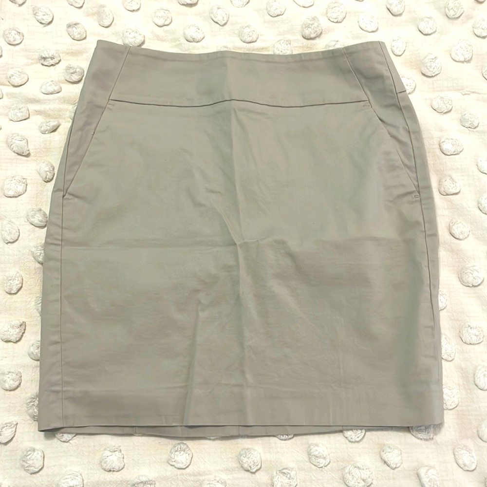 Ann Taylor Pencil Skirt